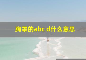 胸罩的abc d什么意思